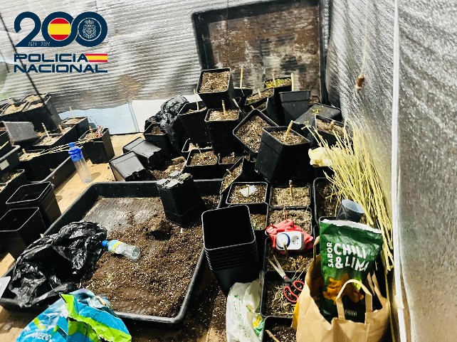 Tres detenidos y más de 200 gramos de cocaína incautados en dos operaciones antidroga en Burgos